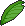 Palm Leaves
