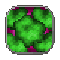Poison Bomb