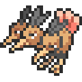 Dodrio