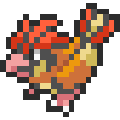 Pidgeotto