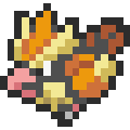 Pidgey