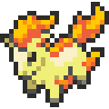 Ponyta