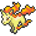 Rapidash