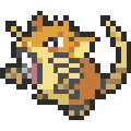 Raticate