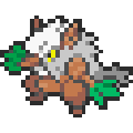 Shiftry